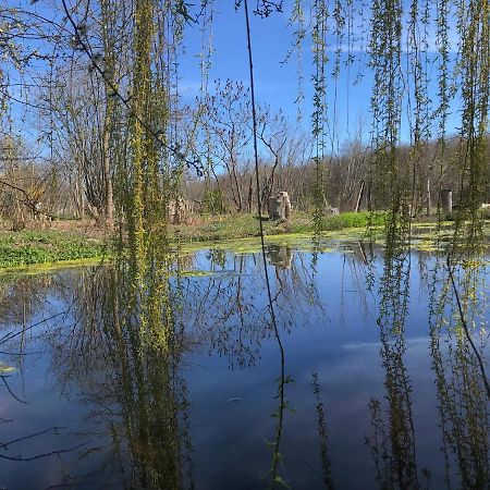 La Barcelle, Une Pause Nature. Perrigny  Exterior photo